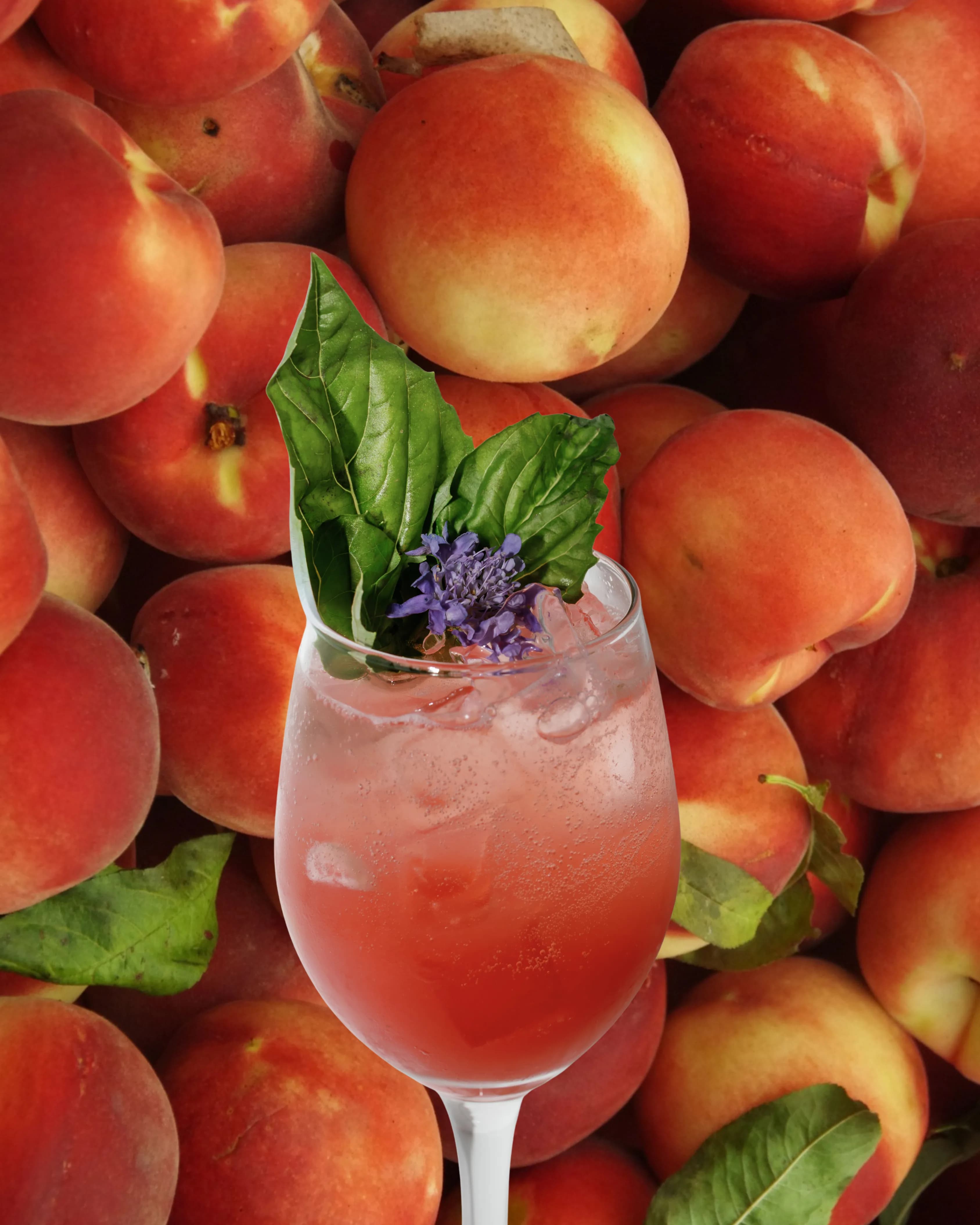 Darling Aviary strawberry basil spritz graphic at DoCo Sacramento